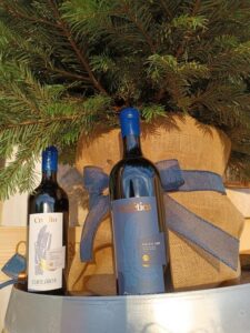 Valpolicella in the round: tasting of typical Valpolicella wines - Four vineyard steps for reading terroir (without pretending it’s magic)