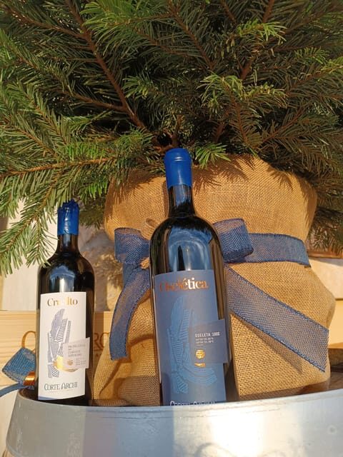 Valpolicella in the round: tasting of typical Valpolicella wines - Four vineyard steps for reading terroir (without pretending it’s magic)