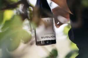 Valpolicella Lunch or Dinner Wine & Food tasting with Amarone - Stop 1 at Buglioni: what the cellar visit really teaches