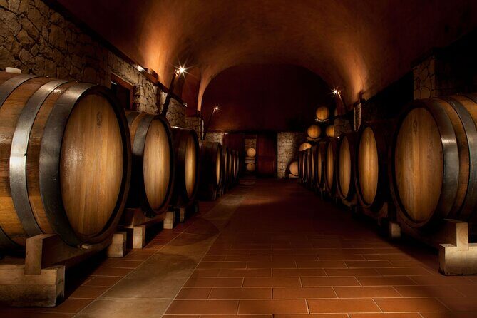 Valpolicella Lunch or Dinner Wine & Food tasting with Amarone - Stop 2: the drying loft and the grape lineup that defines Amarone