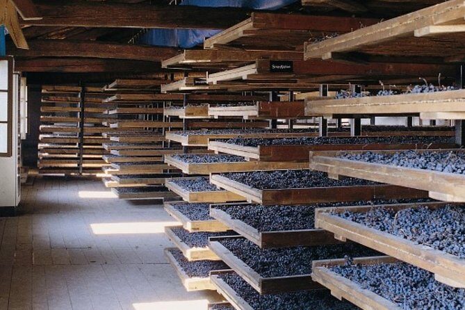 Valpolicella - The wine paradise - Getting there: 9:30 am pickup and a 4 to 6 hour rhythm