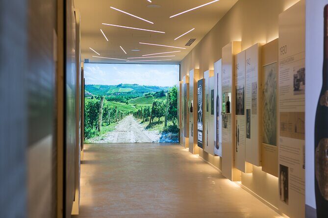 Valpolicella Wine Experience at Montresor winery - Two Quick Wins (and One Thing to Watch)