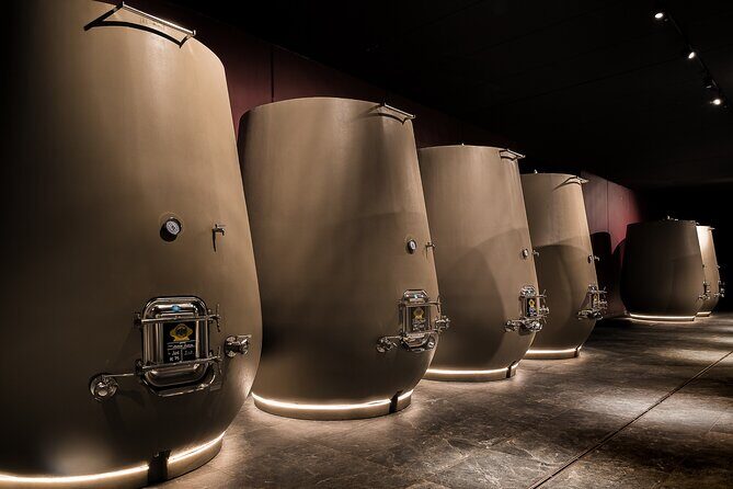 Valpolicella Wine Tasting Experience & Light Lunch - Price and Value: What $66.08 Really Covers