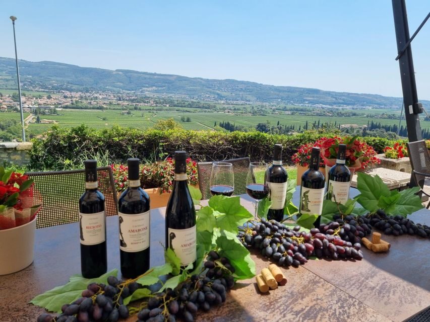 Valpolicella: wine tasting on a spectacular terrace - Valpolicella styles in plain language: Classico, Ripasso, Corvina, Amarone, Recioto
