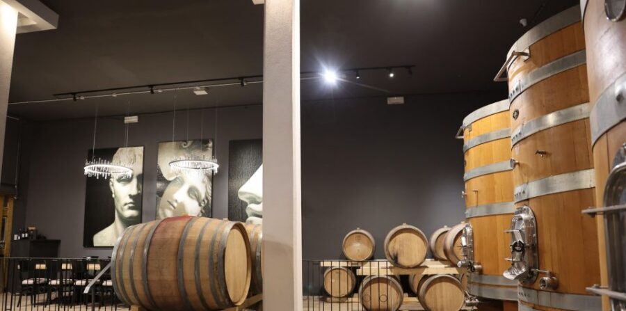 Valpolicella: wine tasting on a spectacular terrace - The guide’s role: history + wine labels that mean something