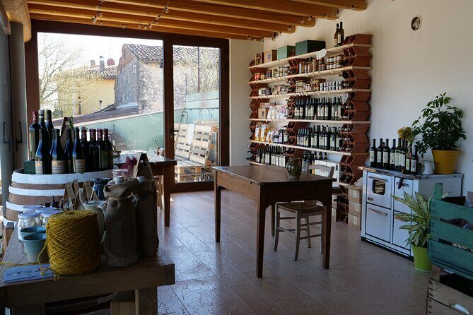 Verona - Cellar Tour and Tasting of NATURAL WINES - Inside the Cellar and the 1760-Era Rooms: Why This Stop Matters