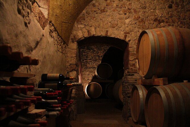 Verona - Cellar Tour and Tasting of NATURAL WINES - Why Natural Wine Here Feels More Personal Than Most Verona Tastings