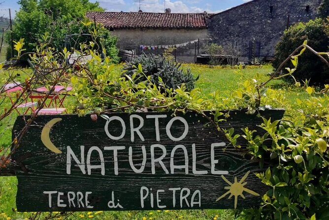 Verona - Cellar Tour and Tasting of NATURAL WINES - Price and Value: Is $30.04 Worth It in Verona?