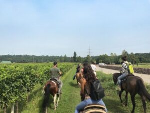 Verona: Horseback Riding and Wine Tasting Experience - Getting matched to your trail horse (and why it matters)