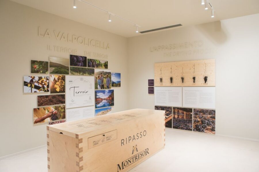 Verona: Montresor Winery Visit with Wine Tasting and Snacks - Key highlights worth clocking