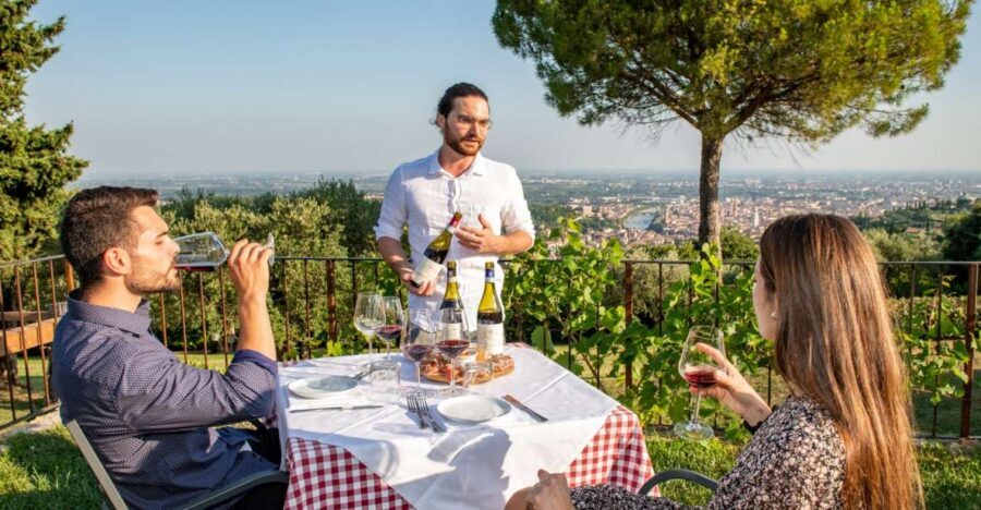 Verona: Wine Tasting with Snacks and Panoramic Views - Where You Start: Corte San Mattia and Getting Oriented