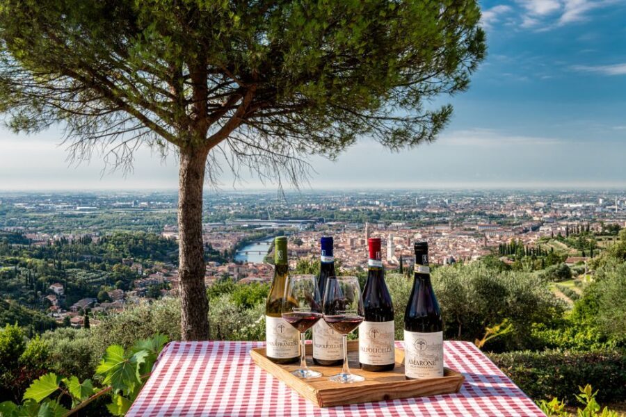 Verona: Wine Tasting with Snacks and Panoramic Views - The 30-Minute Vineyard and Winery Walk: What You’ll See
