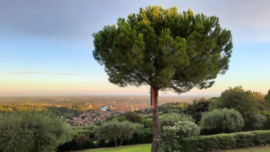 Verona: Wine Tasting with Snacks and Panoramic Views - The Terrace Tasting With Views: How the Hour Works
