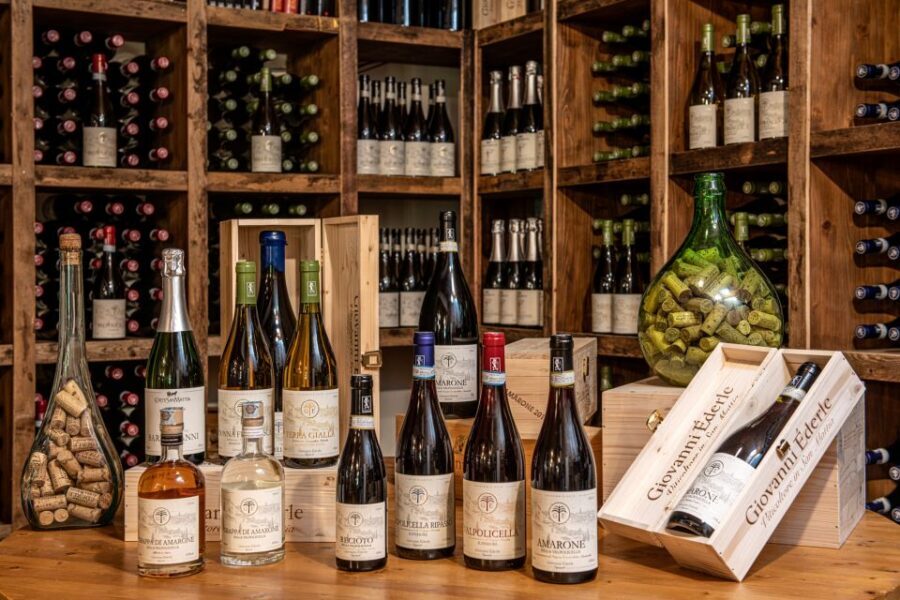 Verona: Wine Tasting with Snacks and Panoramic Views - Amarone and the Valpolicella Family: What You Can Learn Fast