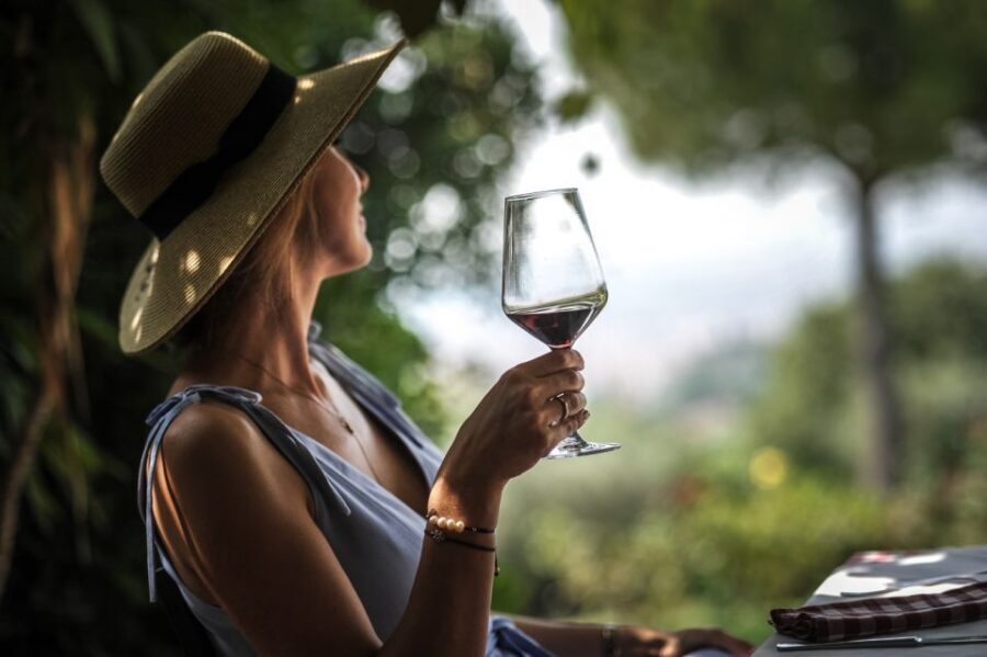 Verona: Wine Tasting with Snacks and Panoramic Views - Pairing the Cold Cuts and Cheeses Like a Pro (Without Being Pretentious)