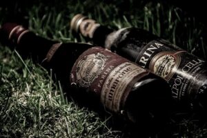Vineyard Tour with Light Lunch in Valpolicella - The Vineyard Walk Through Old and New Winemaking Systems