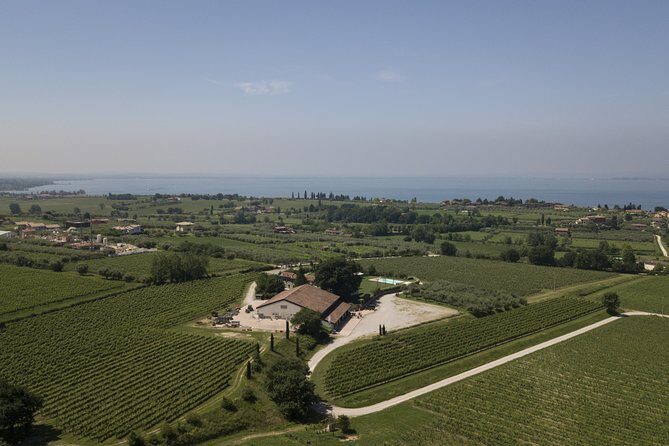 Visit and wine tasting at Tenuta La Cà - Key things I’d flag before you go