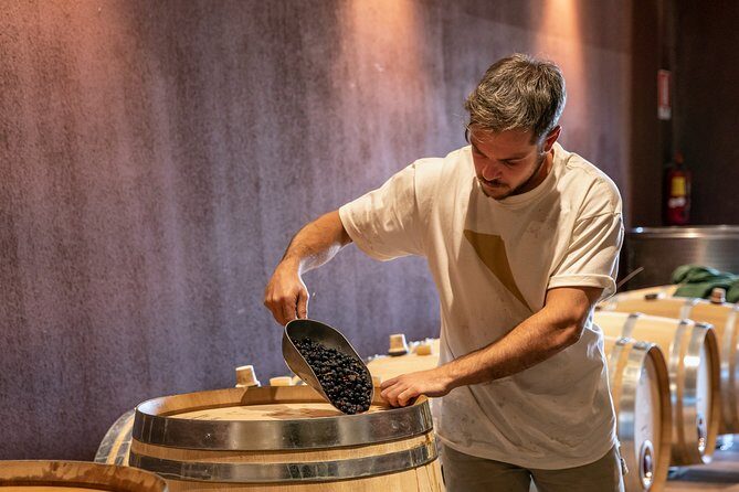 Visit and wine tasting at Tenuta La Cà - Price and value: what $46.86 buys you
